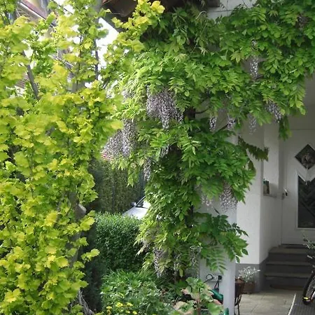 Appartement Am Goldberg Goldbach  Экстерьер фото