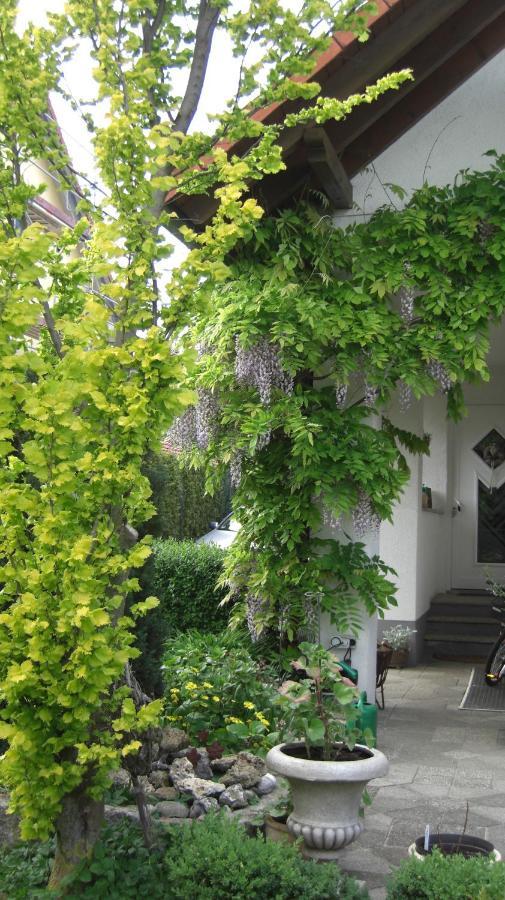 Am Goldberg Apartment Goldbach (Thuringia)